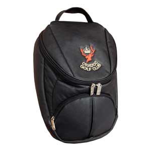 Aerona Leatherette Shoe Bag
